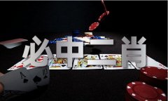 4238精准特料