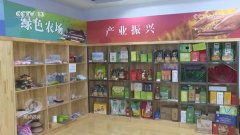 核心｜帮力南北双丰收！“北薯南种”打通了业