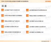 2025年中国蔬菜的领头羊“山东”沉点数据阐发：