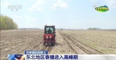 正在但愿的郊野上丨东北春播进度近三成 一键查