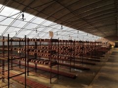 【动态】天津市农科院食用菌手艺科普和天津市